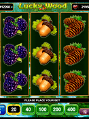 Lucky Wood Slot